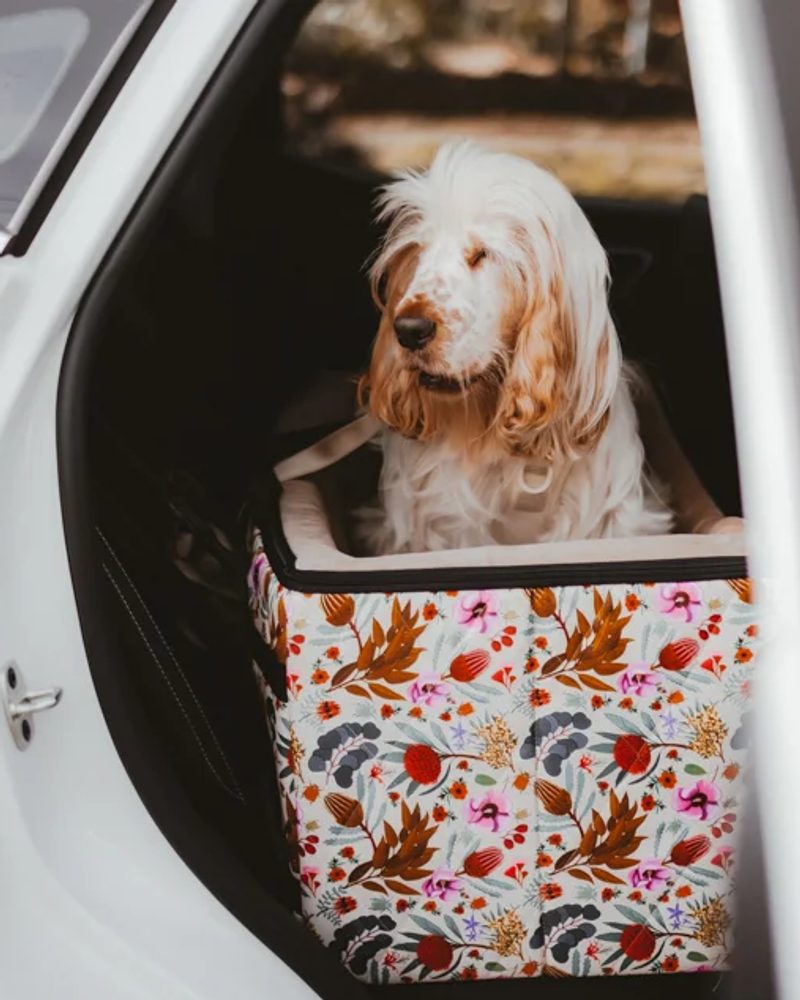 Indie Boho Dog Car Booster Seat Australia: Why Pet Parents Love It