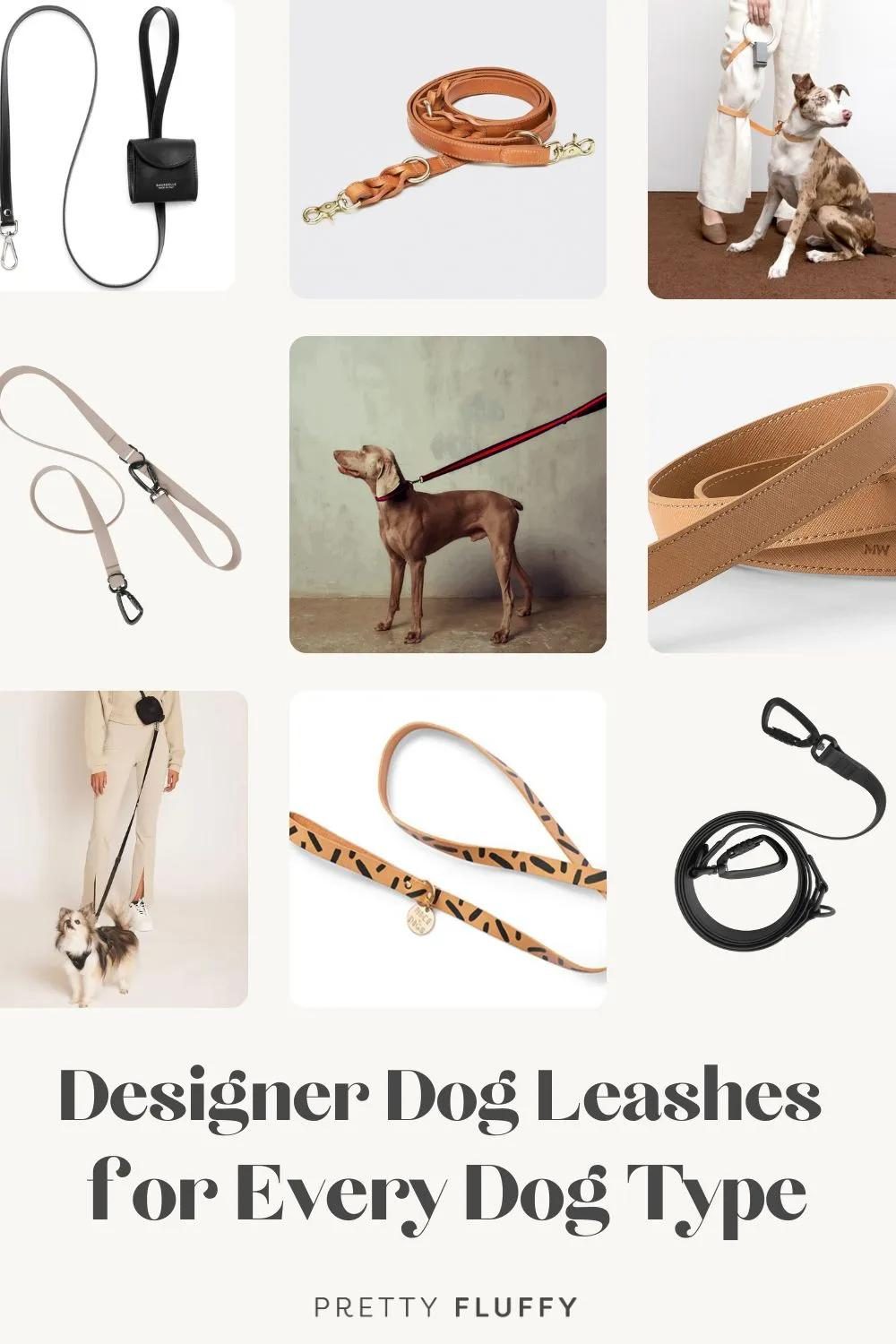 Designer Dog Leashes for Every Dog Type | Pretty Fluffy Pin