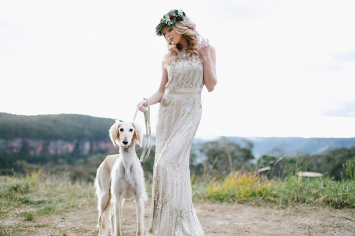 Blue Mountains Bohemian Bridal Shoot by Willow & Co. | Dogs at Weddings | Pretty Fluffy