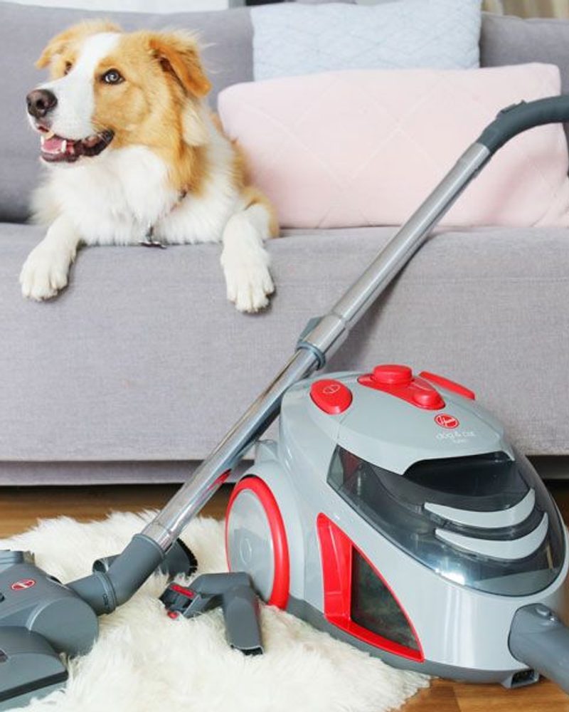 Full review of the $99 Hoover Dog and Cat Vacuum (turbo bagless 1800W) form Godfreys - the best budget friendly vacuum for pet owners and allergy sufferers.
