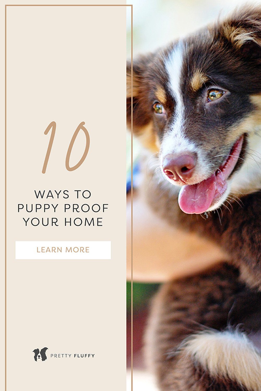 10 Ways to Puppy Proof Your Home
