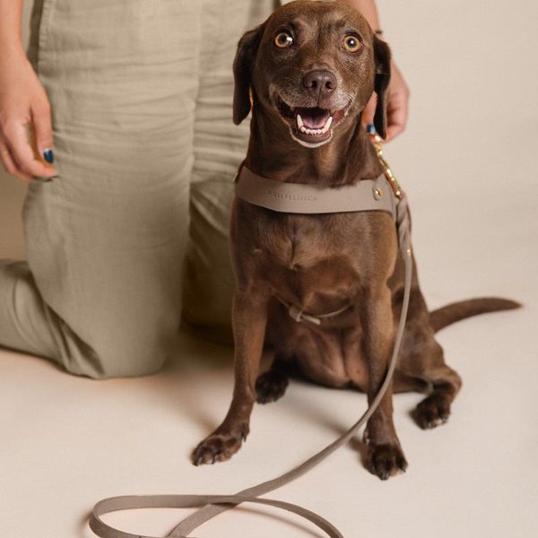 Molly and Stitch Butter Leather City Dog Leash