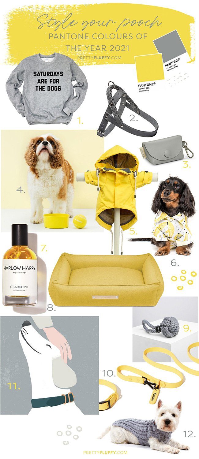 Style your pooch_Pantone Colours_Pretty Fluffy