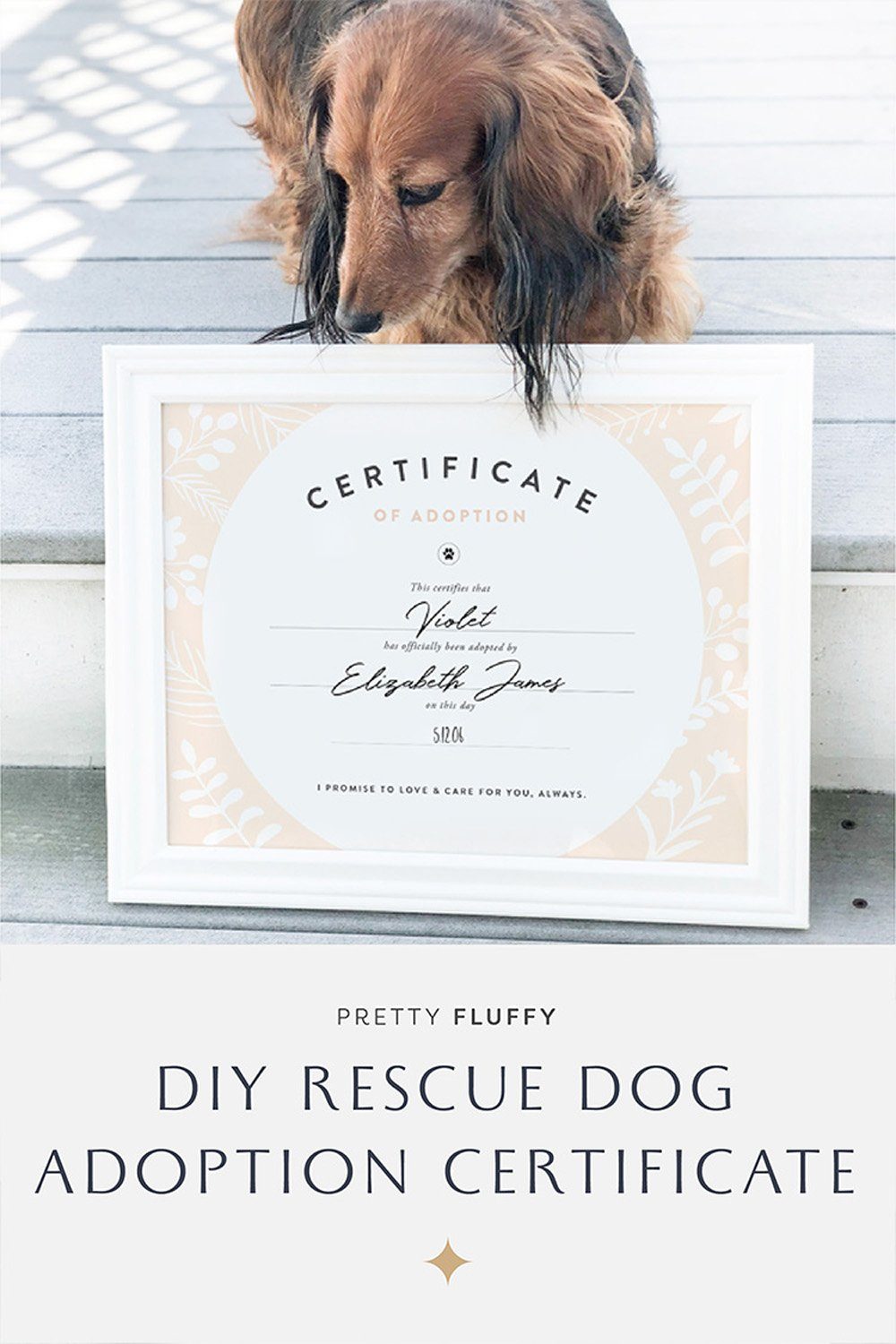 DIY Rescue Dog Adoption Certificate-02