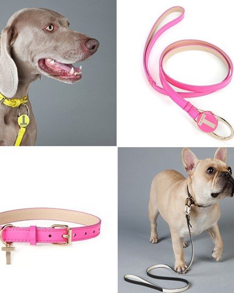 Ted Baker Patent Collars and Leads | Pretty Fluffy