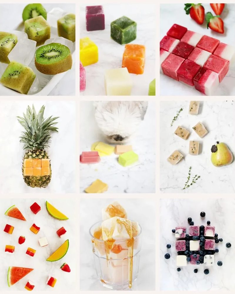 Frozen – 30 Fresh & Fruity Dog Treat Recipes Your Pup Will Love! (4)