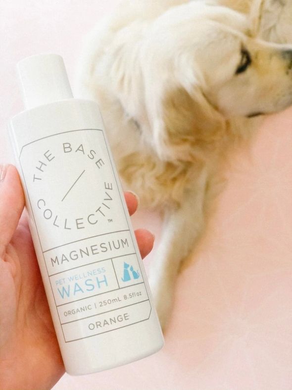 Is magnesium good for dogs? Yes! We list the health benefits of magnesium for dogs - including the best products and how to use them in simple steps.