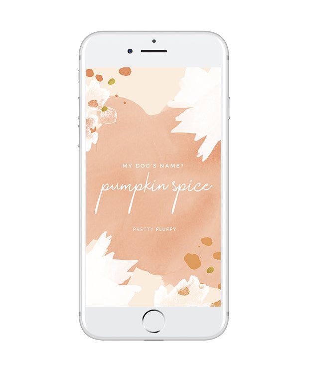 Pumpkin Spice fall dog quote phone screensaver with text 'My Dog's Name? Pumpkin Spice' by Pretty Fluffy.