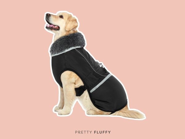 QBLEEV Warm Dog Coat