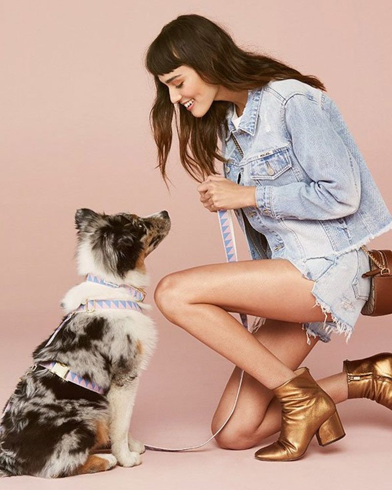 Australian Shepherd wearing a luxury geometric patterned dog harness and leash set with its owner.