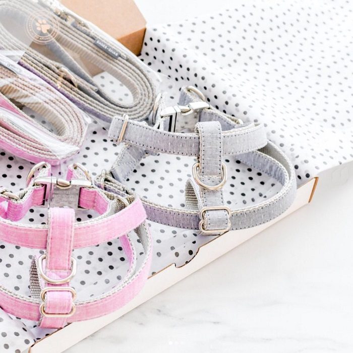 Pink and grey fabric dog harnesses and matching leashes from Danes & Divas, a Black-owned pet brand.
