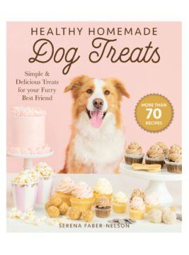 Healthy Homemade Dog Treats
