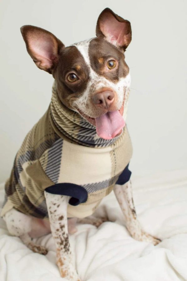 Plaid dog sweater by Jax and Mollys - Etsy