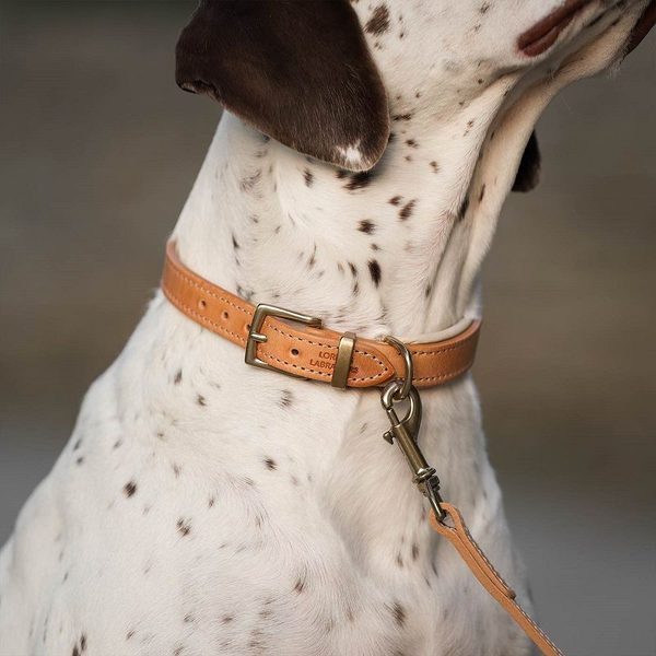 Lords & Labradors Italian Padded Leather Dog Lead