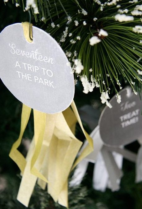 Make this Christmas fun with a quick and easy tutorial for your very own DIY Advent Calendar for dogs! Include full photos and instructions.