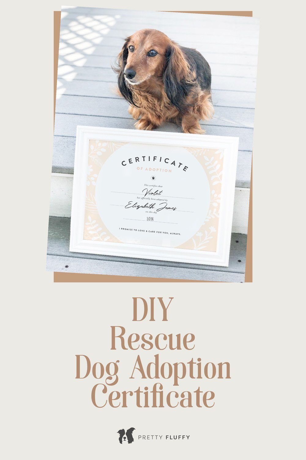 DIY Rescue Dog Adoption Certificate-02