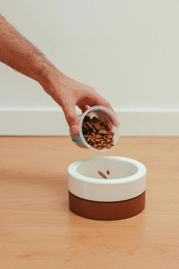 A hand pours dry dog food from a container into a white and brown raised bowl.