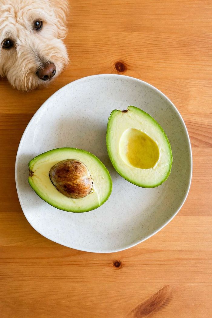 A fluffy dog peering over a wooden table at two avocado halves on a white ceramic plate.