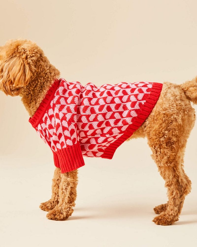 The Foggy Dog Heart Stripe Dog Sweater