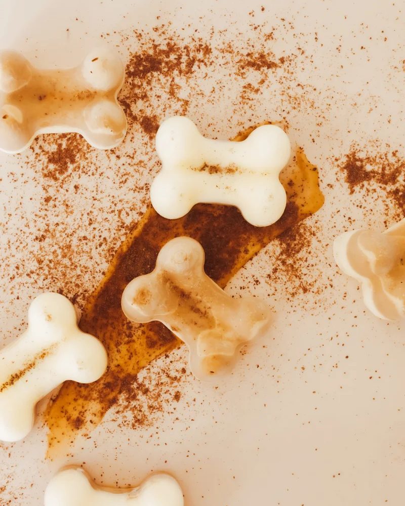 Peanut Butter DIY Probiotic Dog Treat Recipe