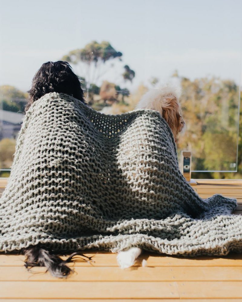 A Home Away From Home: Pet-Friendly Accommodation in Venus Bay