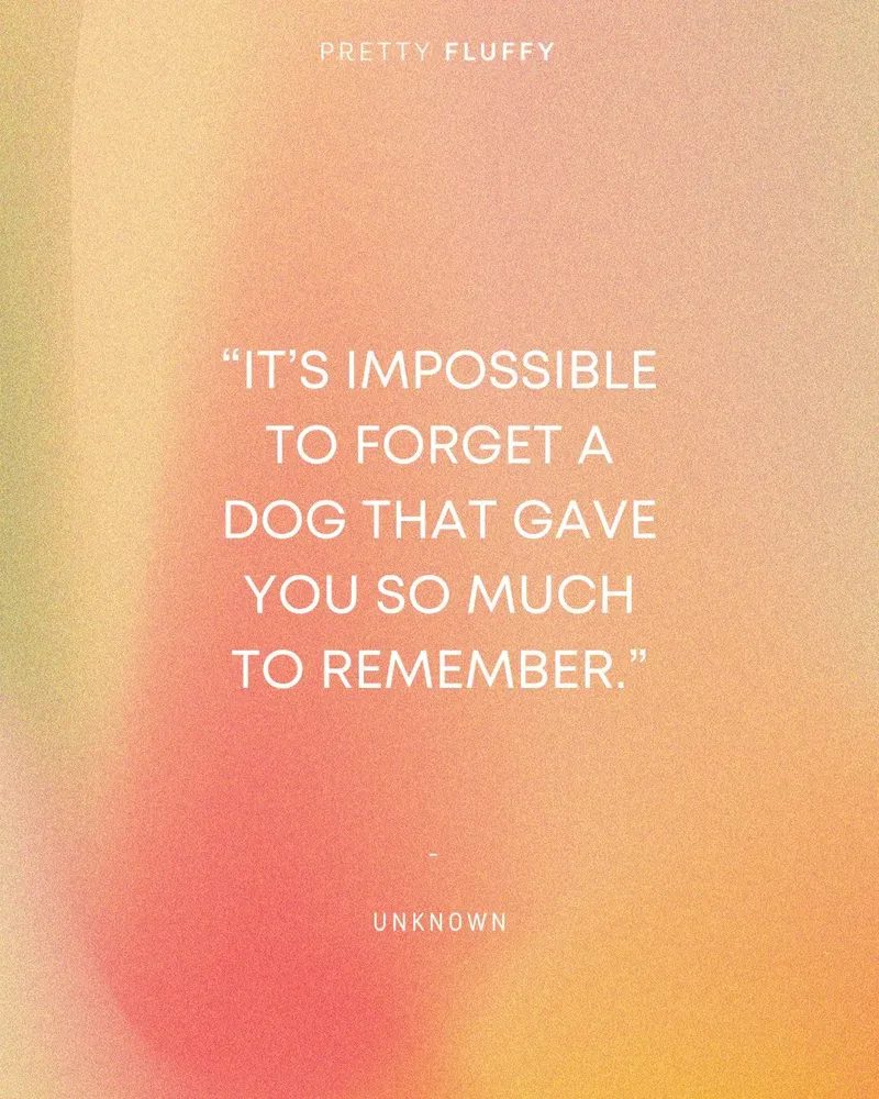 Dog memorial sayings on Pretty Fluffy