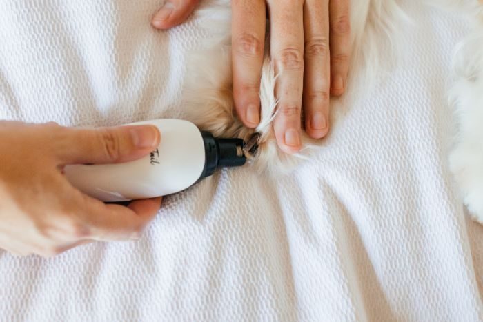How To Trim A Dog's Nails That Are Overgrown - Pretty Fluffy