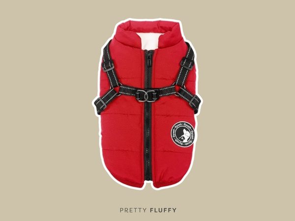 Gyuzh Dog Coat with Harness