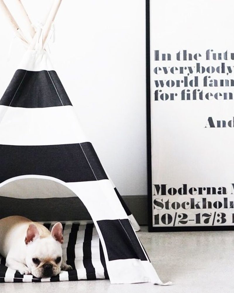 French Bulldog resting in a black and white striped dog teepee, a trending monochrome dog accessory.