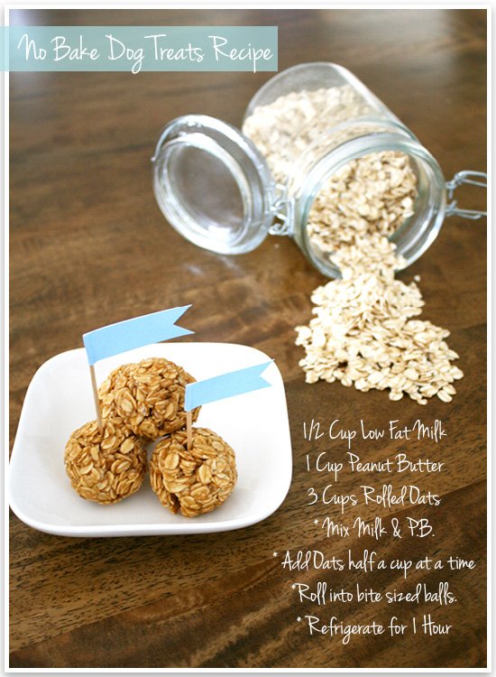 Easy homemade dog shop treats no bake