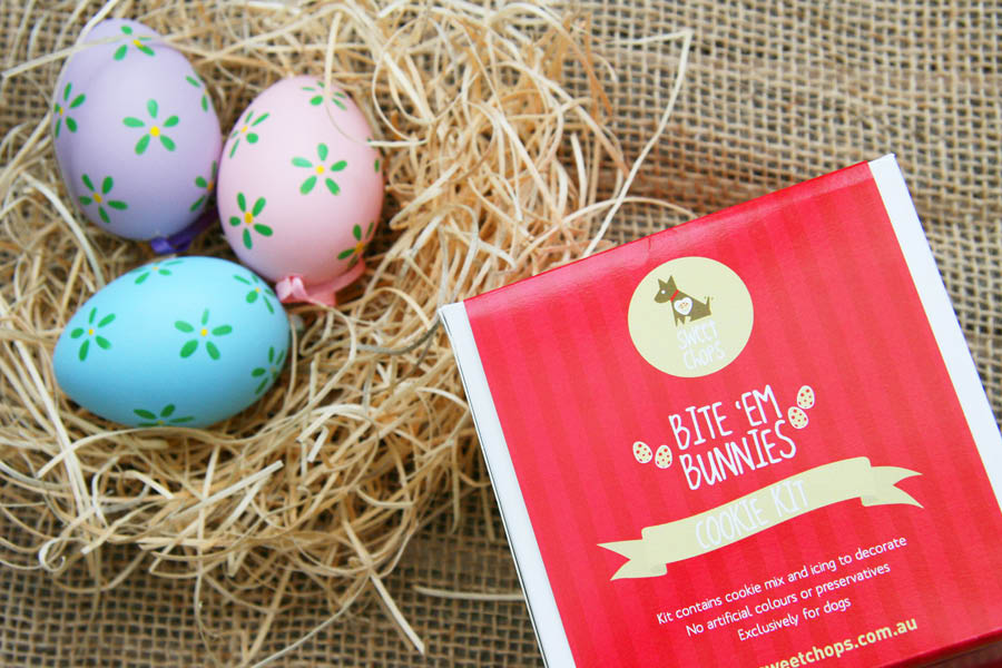 DIY Dog Easter Cookie | Pretty Fluffy