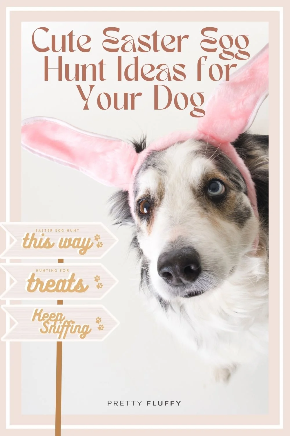 Cute Easter Egg Hunt Ideas for Your Dog