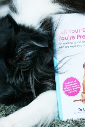Tell Your Dog You're Pregnant | Pretty Fluffy