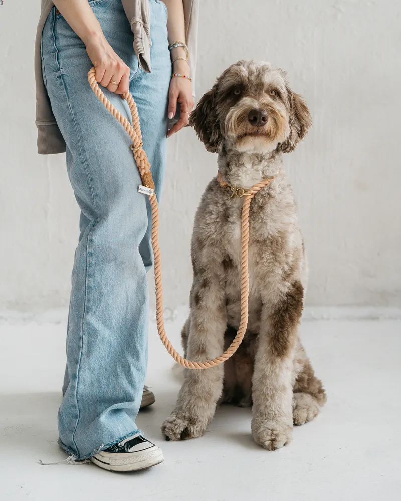Dexy Paws Cotton Rope Dog Leash