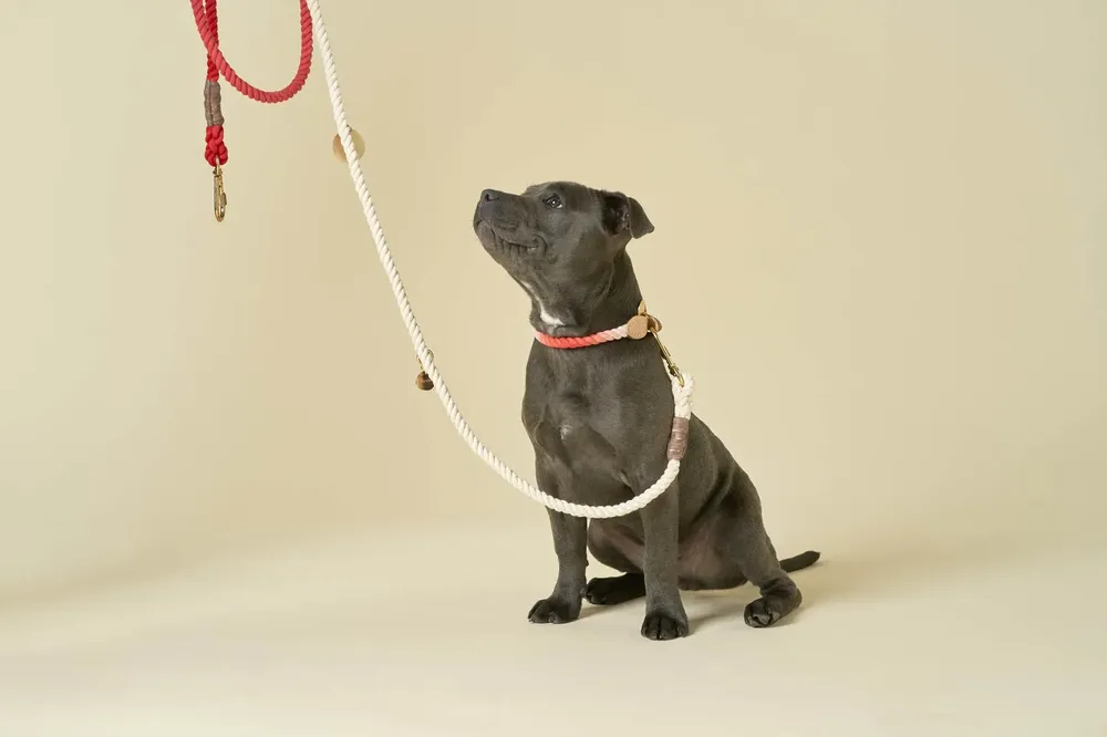 Found My Animal Original Rope Adjustable Leashes