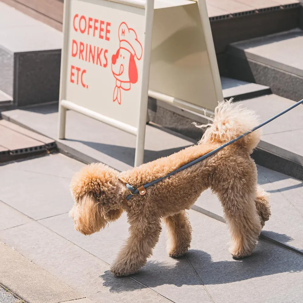 HOWLPOT We are Tight All-in-One Rope Dog Leash