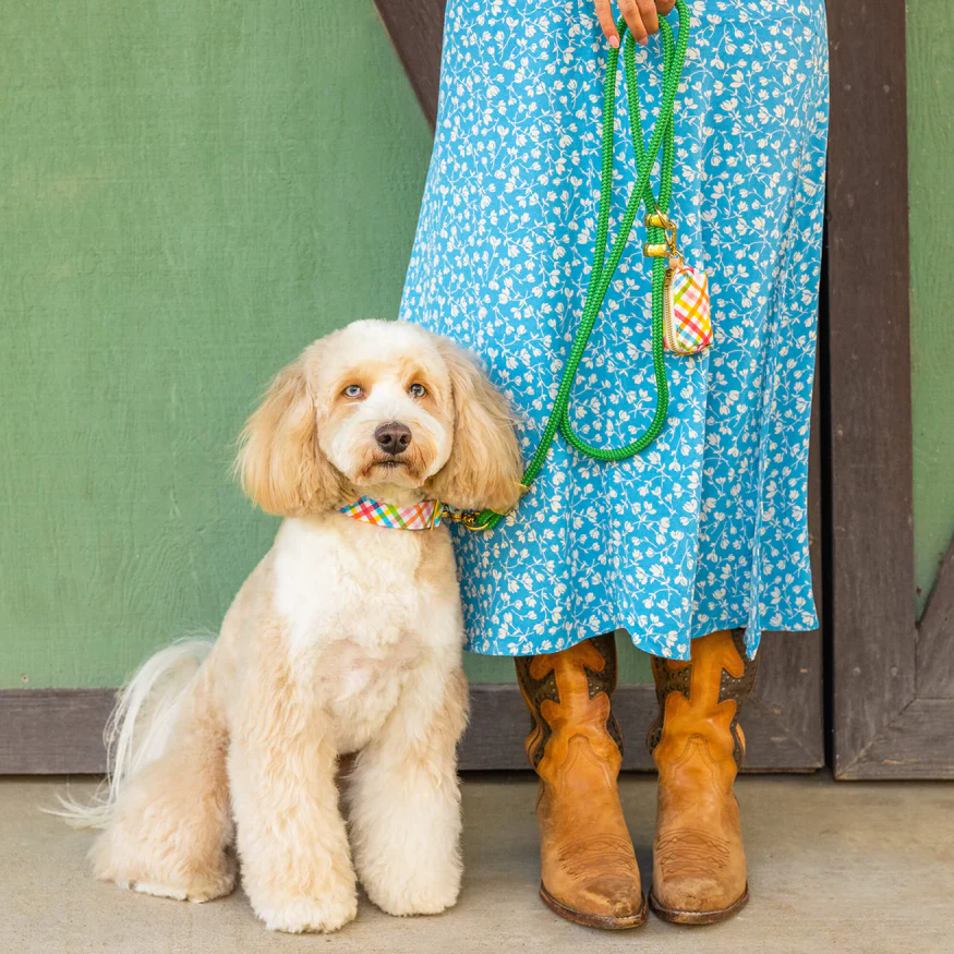 The Foggy Dog  Marine Rope Dog Leash Rope Leash