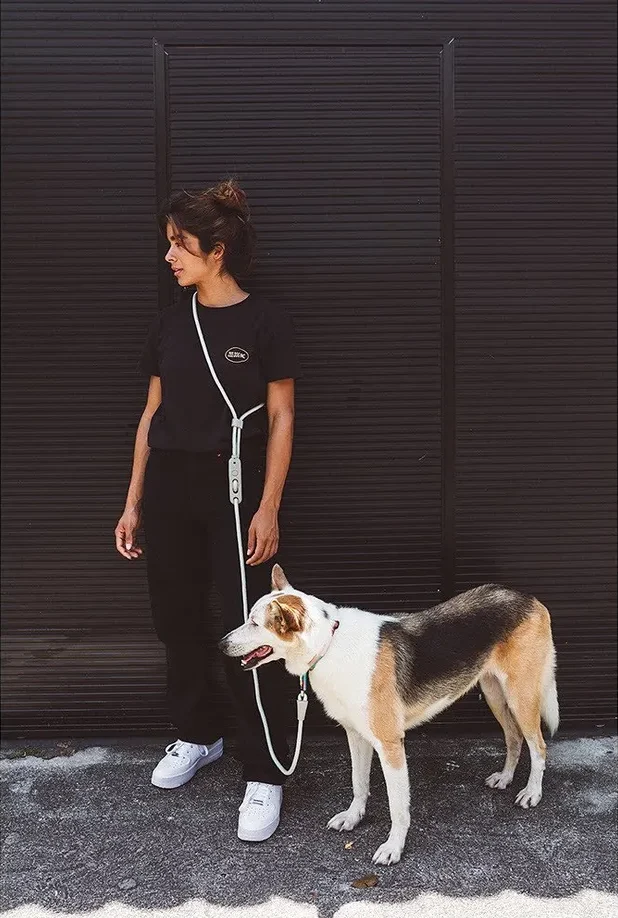 Zee Dog Hands Free Rope Leash