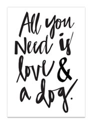 All You Need is Love and a Dog Print