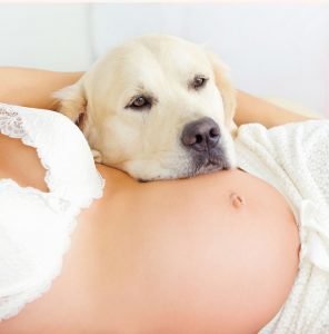 How to Prepare Your Dog for a Baby (a Dog Lover’s Guide)