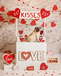 Dog DIY Valentines Day Kissing Booth