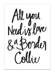 All You Need is Love & a Border Collie Print // Available at the Pretty Fluffy Print Shop // www.prettyfluffy.com