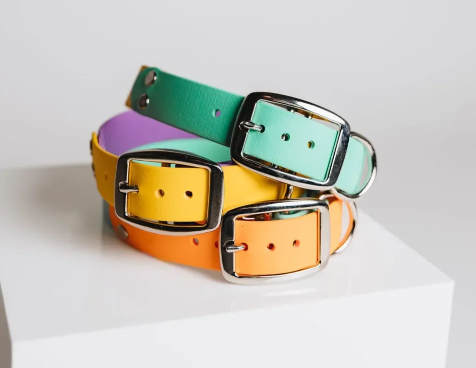 Bight Dog Collars Fawn & Merle 