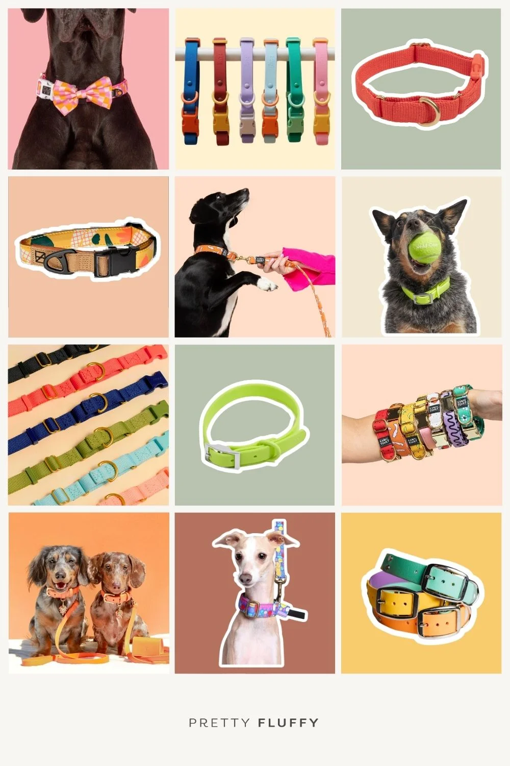 Bright Dog Collars for Funky Pups