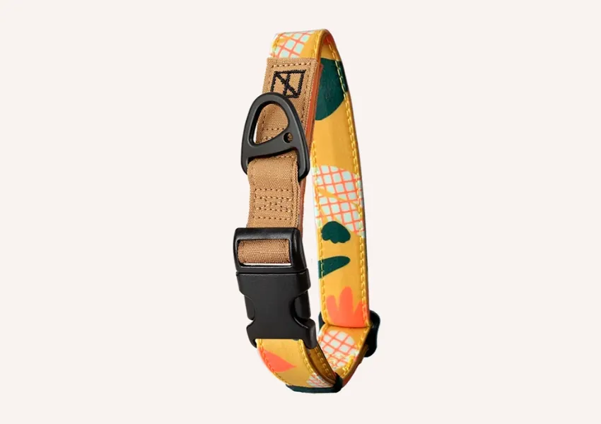 Herzog WORLEY: Artist Series Collar