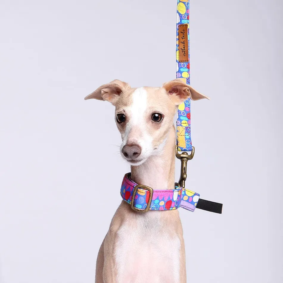 Outback Tales Martingale Collar