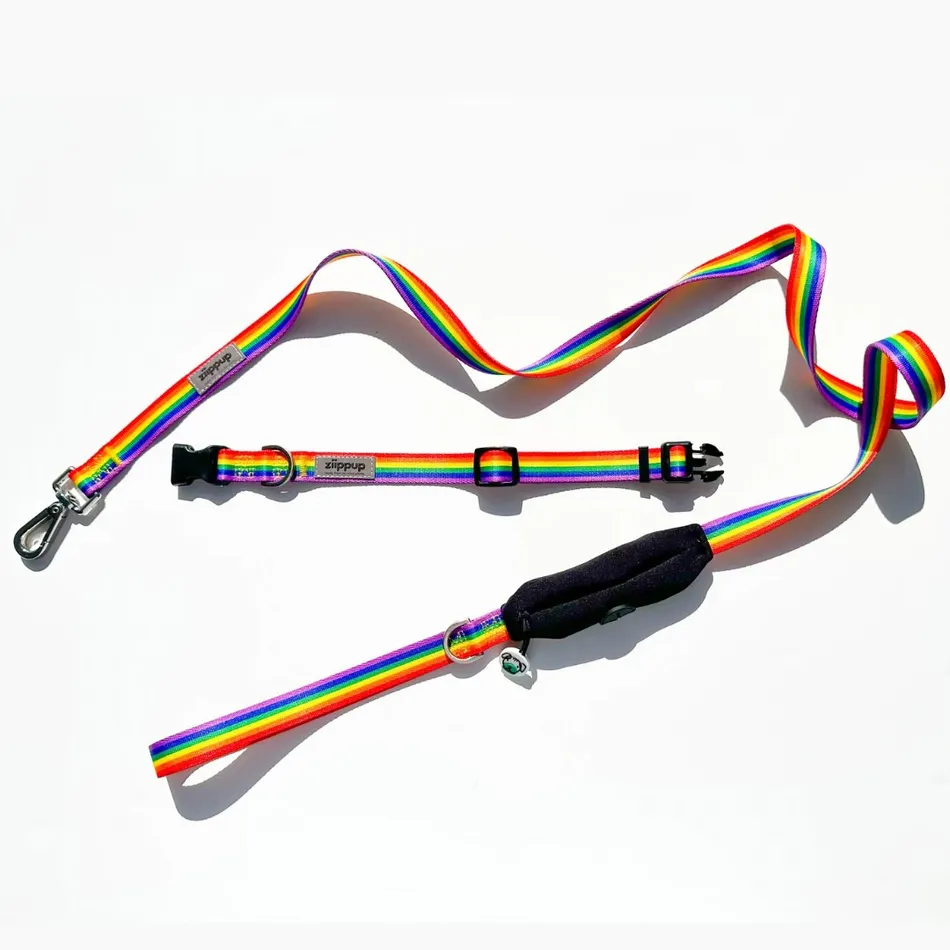 Rainbowcollar Ziippup 2