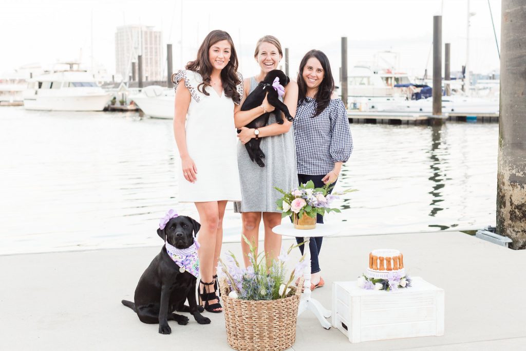 Expert tips on how to do a dog cake smash and how to capture the perfect dog birthday photos - fuss free and budget friendly.