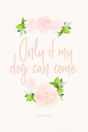 'Only if My Dog Can Come' Dog Lovers Desktop Wallpaper