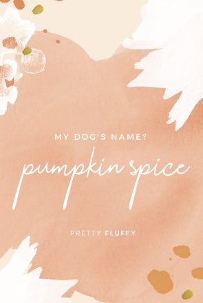 Fall-Desktop-Wallpaper - Pumpkin Spice - Free screensaver for dog lovers
